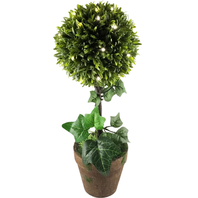 home Dekorativna rasvjeta, šimšir - GPL 25