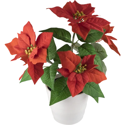 home Dekorativna rasvjeta, ruža - SCF 5