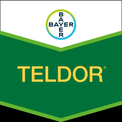 Teldor 500 SC 100 ml