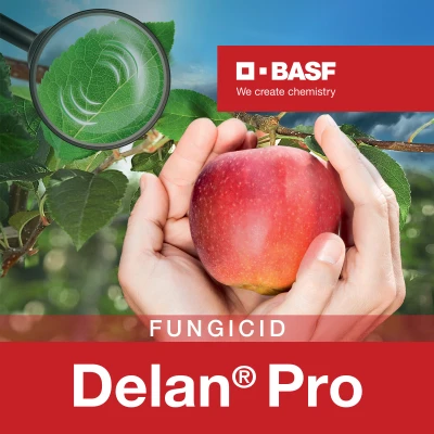 Delan pro 5 l