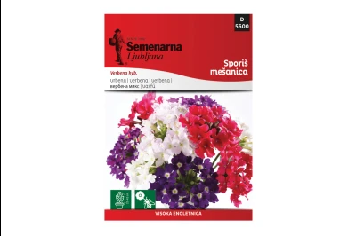 Semenarna VERBENA MIX