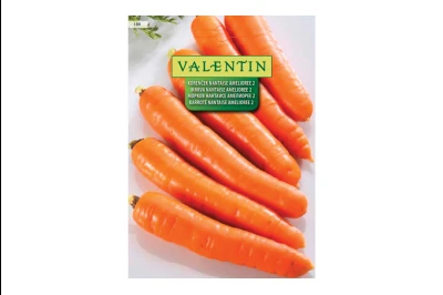 Valentin MRKVA NANTES