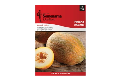 Semenarna DINJA ANANAS