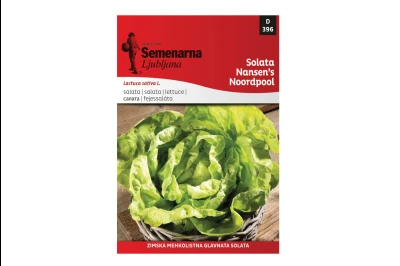 Semenarna SALATA NANSEN"S NOORDPOOL (NANSEN) 20 gr