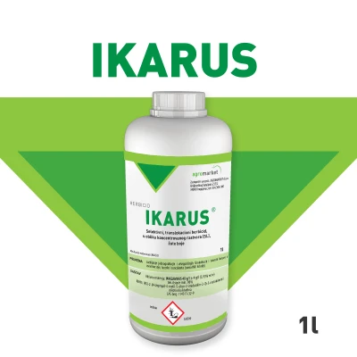 Ikarus 1 l