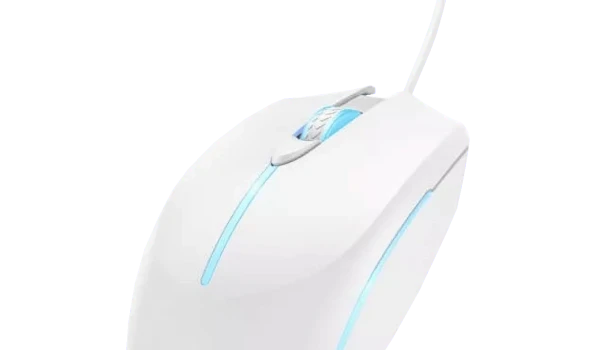 Slika 1