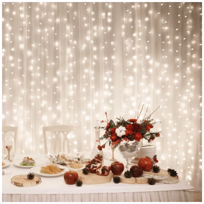 home Dekorativna LED rasvjeta, LED svjetlosna zavjesa - DLF 210/WW