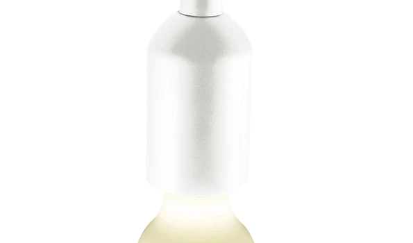 Slika 1