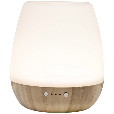 home Ultrazvučni aroma difuzor ovlaživač zraka sa svjetlom 180ml. - AD 20