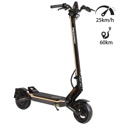 MS Energy Elekrični Romobil, 10" točkovi, 25 km/h, domet do 60 km - FLARE