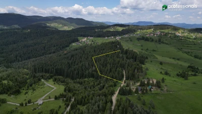 Zemljište Nišići 11903m2