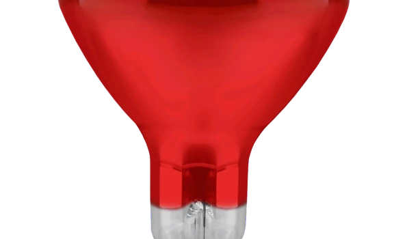 Slika 2