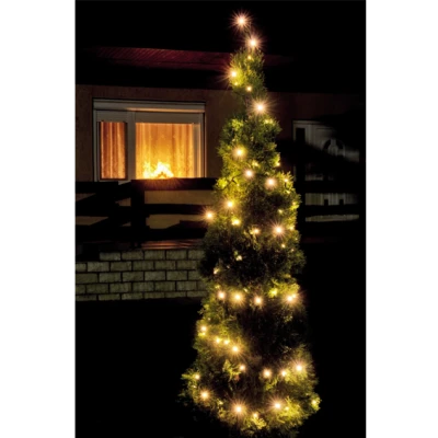 home Dekorativna LED rasvjeta - LED 208/WW