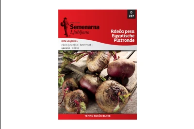 Semenarna CVEKLA EGIPATSKA 50 gr
