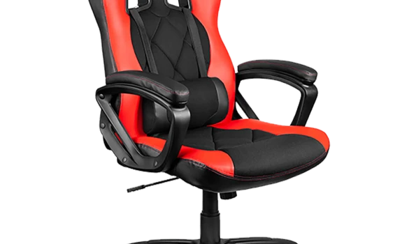 Slika 1