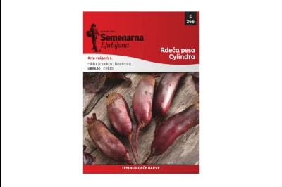 Semenarna CVEKLA CYLINDRA 50 gr