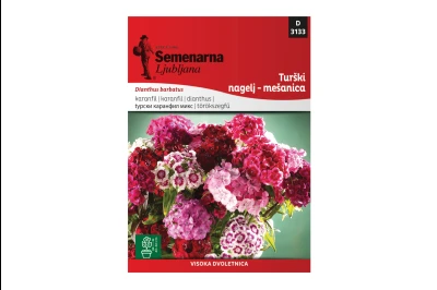 Semenarna TURSKI KARANFIL MIX