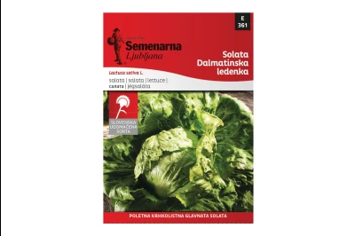 Semenarna SALATA DALMATINSKA LEDENKA