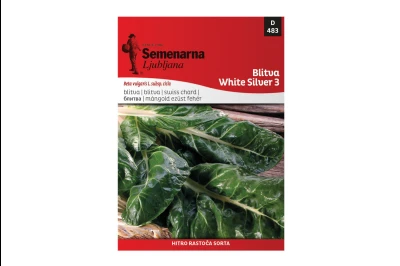 Semenarna BLITVA SREBRNOLISNA