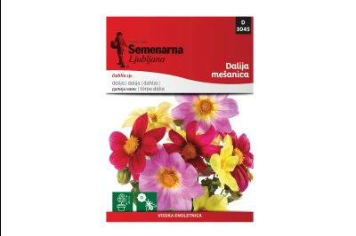 Semenarna DALIJA
