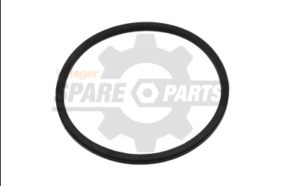 DM 14 3WF-3.17.1-3 - Dihtung poklopca kanistera